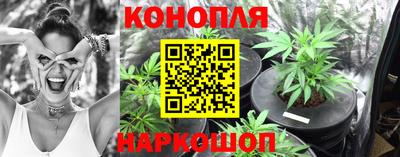 стафф Чебоксары