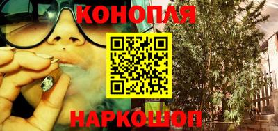 стафф Чебоксары