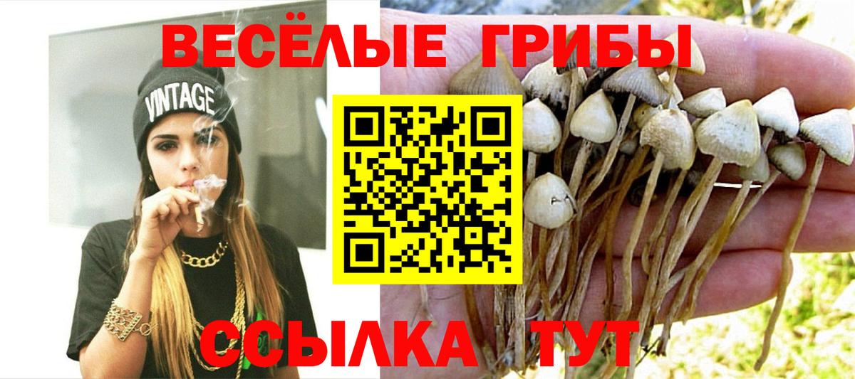 Гашиш  Марихуана  Меф МЯУ МЯУ   Муравленко  Вход с VPN 