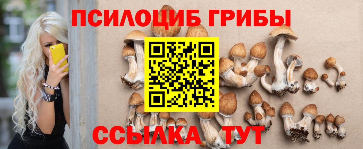 Псилоцибиновые грибы Psilocybe  Галлюциногенные грибы Psilocybe  Муравленко  Вход с VPN 
